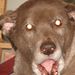 Profile Picture of Don Evanitz (@devanitz83) on Pinterest