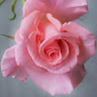 Yaneth Ramirez - Quora Profile Picture of Yaneth Ramirez (@yaneth-ramirez-26) on Quora