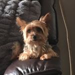 Profile Picture of Deborah Blocker (@debusaz28) on Instagram