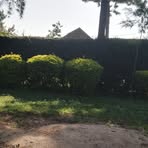 Profile Picture of Dastan Mushi (@Dastan-Mushi) on Facebook