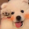 Profile Picture of kirknabhan (@@kirknabhan) on Tiktok