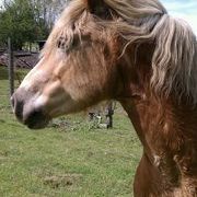 Profile Picture of Phoebe Hudson O'Neil (@louoneil) on Pinterest