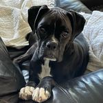 Profile Picture of Jamie Keyser (@jamiekeyser) on Instagram