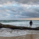 Profile Picture of Sean Pringle (@seanrpringle) on Instagram