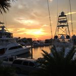 Profile Picture of Mark Blanton (@markrblanton) on Instagram