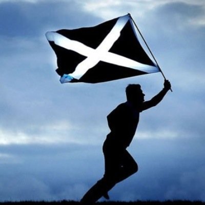 Profile Picture of A Sair Fecht (@a_sair_fecht) on Twitter