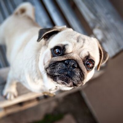Profile Picture of Klaudiusz Waskowicz (@MichalWaskowicz) on Twitter