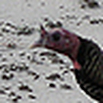 Profile Picture of Greg Richardson (@gregprichardson) on Flickr