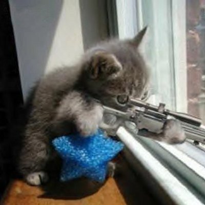 Profile Picture of Robert Blecher (@Blech75R) on Twitter