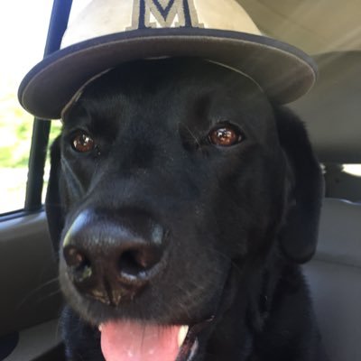 Profile Picture of Greg Dickerson (@gregdickerson13) on Twitter