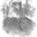 Profile Picture of Christina Halterman (@crhalterman) on Pinterest