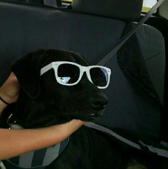 Profile Picture of Kalista Heinrich (@kalist_18) on Poshmark