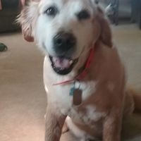 Profile Picture of Cindy Stack (@cindy-stack-6) on Quora