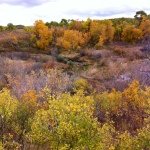 Profile Picture of Joshua D (@joshua_durand) on Instagram