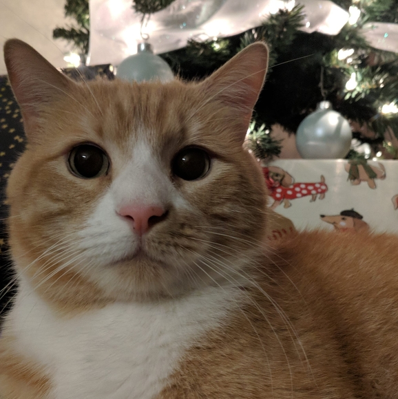 Profile Picture of Emily Gaska (@emig3) on Poshmark