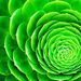 Profile Picture of Arjun Basu (@arjun_basu321) on Pinterest