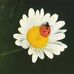 Profile Picture of Nancy Manfredi (@nancy.manfredi.359) on Facebook