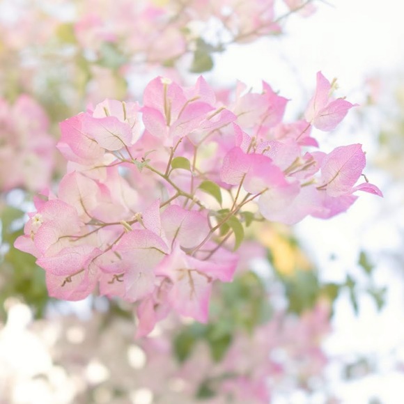 Profile Picture of Nicholas Campbell (@nicholascamp879) on Poshmark