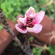 Profile Picture of Nancy Weber (@NancyWeber1984) on Youtube