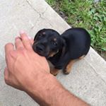 Profile Picture of Alexander Rodríguez (@alexsentation) on Instagram