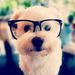 Profile Picture of Katbits Crafter (@Katbits) on Pinterest