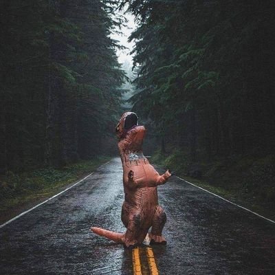Profile Picture of Matthew Lytle (@MatthewLytle17) on Twitter
