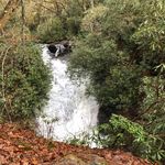 Profile Picture of A-a-ron_Palmer (@palmer_aaron_17) on Instagram