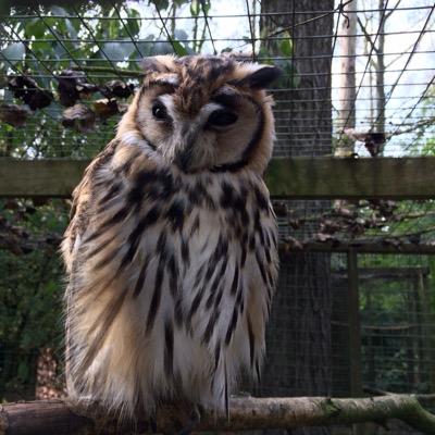 Profile Picture of Tom Bray (@TomBray18) on Twitter