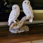 Michael Lebarre - Instagram Profile Picture of Michael Lebarre (@michaellebarre) on Instagram