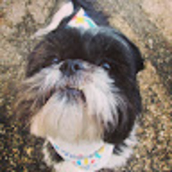 Profile Picture of Jessica Willenbrink (@jjwillart) on Poshmark