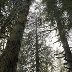 Profile Picture of Jason Gokey (@jason.gokey.94) on Facebook