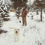 Profile Picture of Paul Mallette (@mallette316) on Instagram