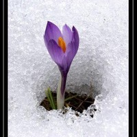 Profile Picture of Ammar Haddad (@ammar-haddad-3) on Quora