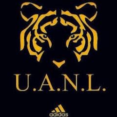 Profile Picture of Kevin Martell (@KevinMartell8) on Twitter