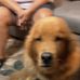 Profile Picture of Frances Goad (@frances.goad.75) on Facebook