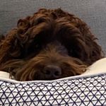 Profile Picture of Scott Leahy (@bubba.leahy) on Instagram