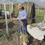 Amy Lei - Instagram Profile Picture of Amy Lei (@peichinglei0713) on Instagram