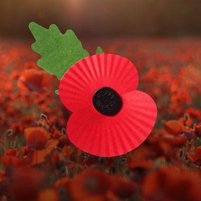 Profile Picture of Elaine O Connor (@ElaineO63018810) on Twitter