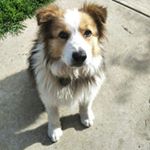 Profile Picture of Hunter (@hunter.tickle) on Instagram