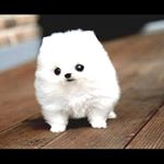 Jacoby Light - Instagram Profile Picture of Jacoby Light (@theluckya53) on Instagram