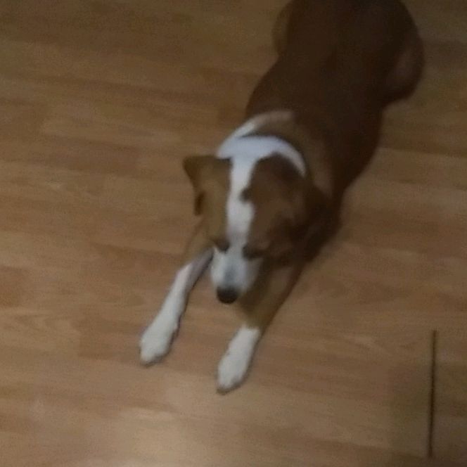 Profile Picture of Doris Pettit (@dorispettit) on Tiktok