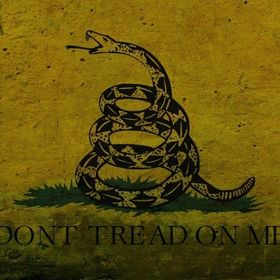 Profile Picture of Robert Chambers (@libertyforge) on Pinterest