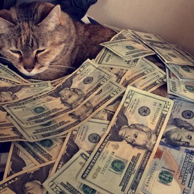 Profile Picture of Nathan Siegel (@Nsiegel215) on Twitter