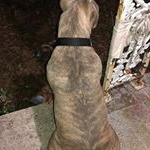 Profile Picture of Robert Gaona (@robert._.gaona) on Instagram