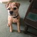 Profile Picture of Michael Slater (@michael.slater.18041092) on Facebook