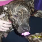 Profile Picture of Brad Hogsie (@bradles72) on Facebook