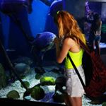 Profile Picture of Michele Alvarez Fernandez (@miss_terio) on Instagram