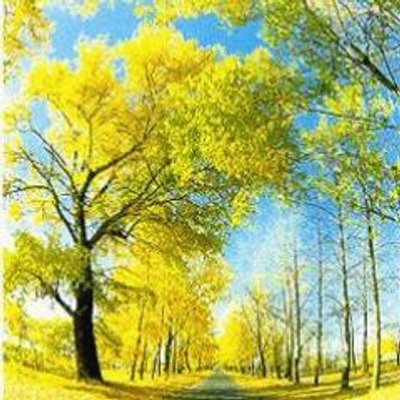 Profile Picture of PURNA CHANDRA SETHI (@purnasethi250) on Twitter
