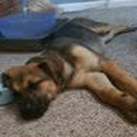 Profile Picture of Chris Beesley (@chris-beesley-14) on Quora