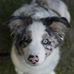 Profile Picture of Ruby Downing (@ruby.downing.545) on Facebook
